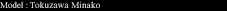 Tokuzawa